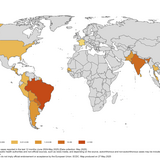 Chikungunya_12_months_rate_map_may_2025