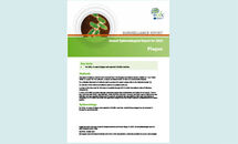 Cover of the report: Plague - Annual Epidemiological Report for 2016 Thumbnail