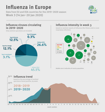 Weekly influenza update, week 3, January 2020 Thumbnail